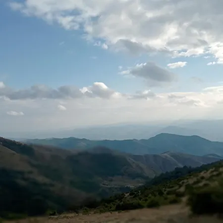 Simpakop Kopaonik