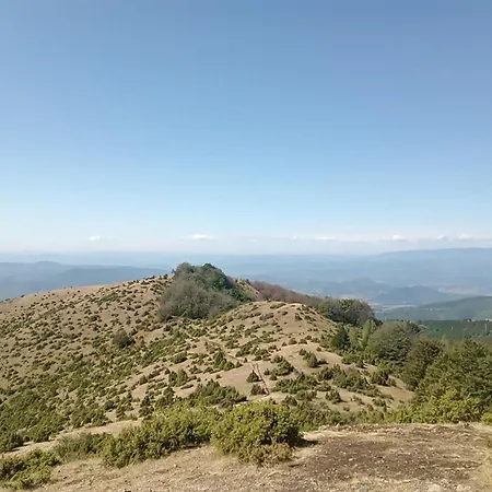 Simpakop *