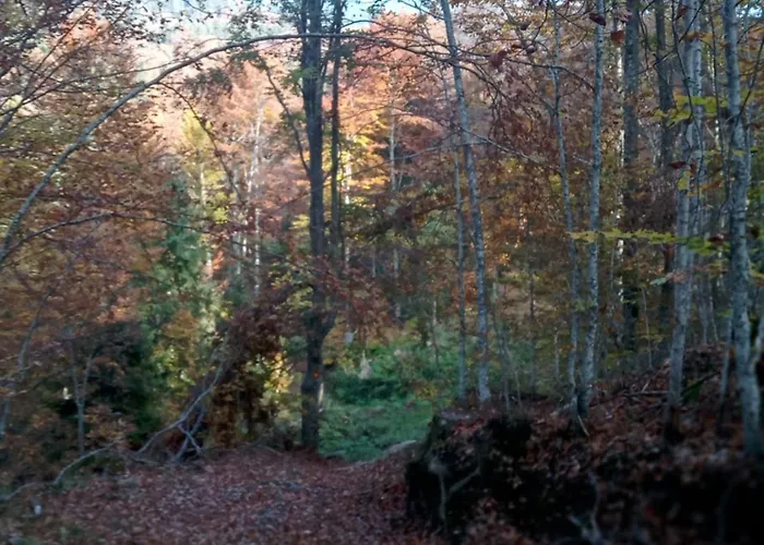 Simpakop Apartamento