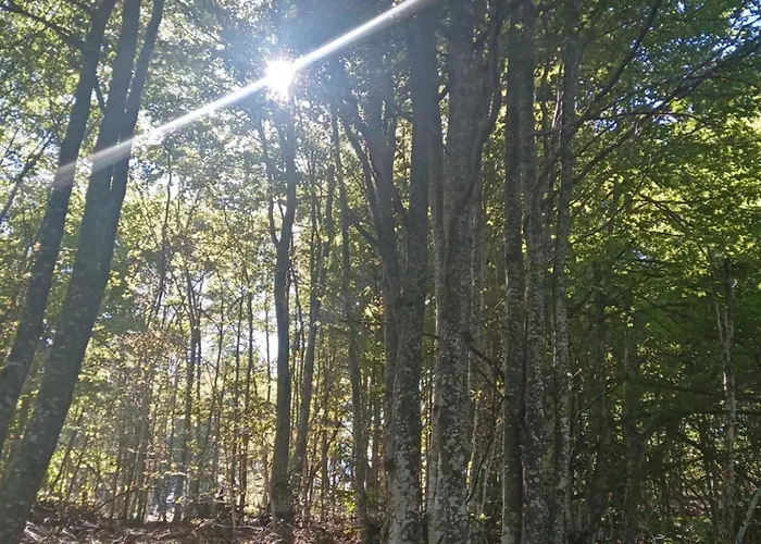 Simpakop Apartamento Kopaonik